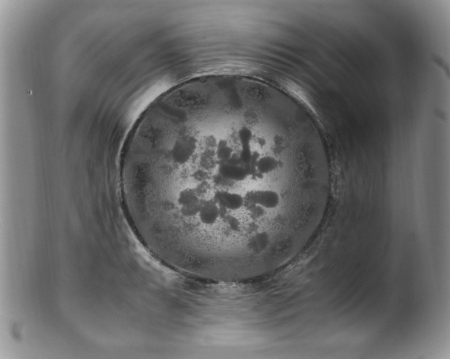 X0000100851087200806201208