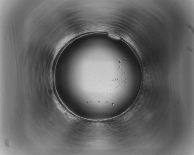 X0000100851088200806201208