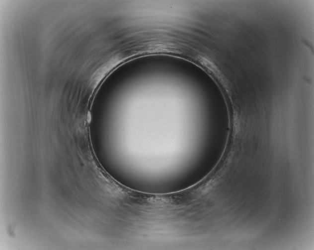 X0000100851089200806201208