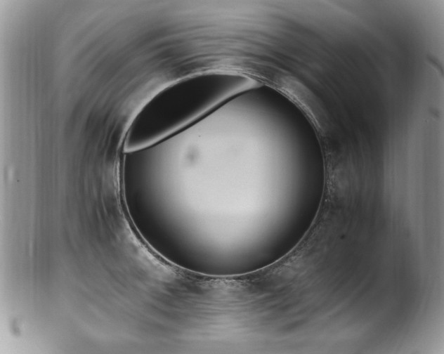 X0000100851092200806201208
