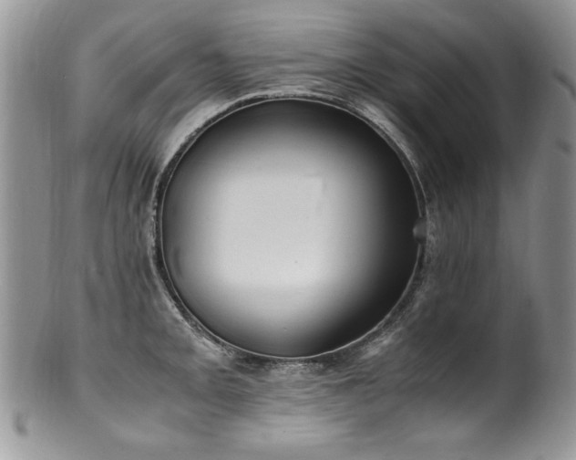 X0000100851093200806201208