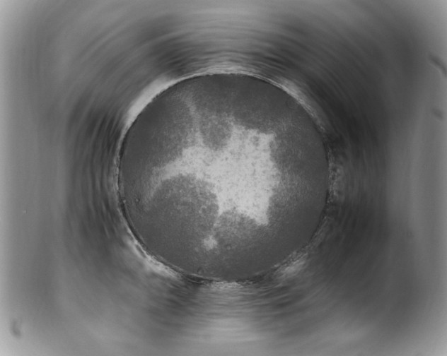 X0000100851094200806201208