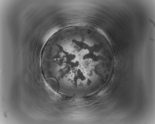 X0000100851095200806201208