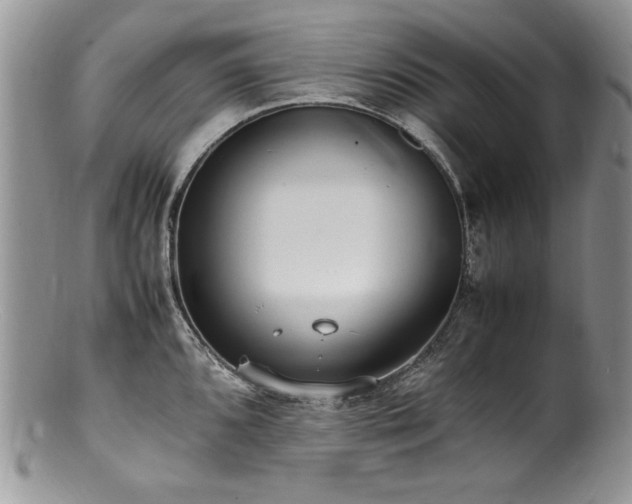 X0000100851096200806201208