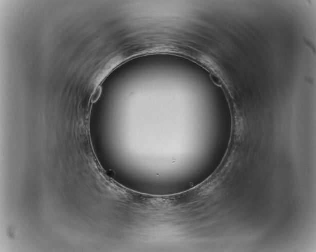 X0000100851097200806201208