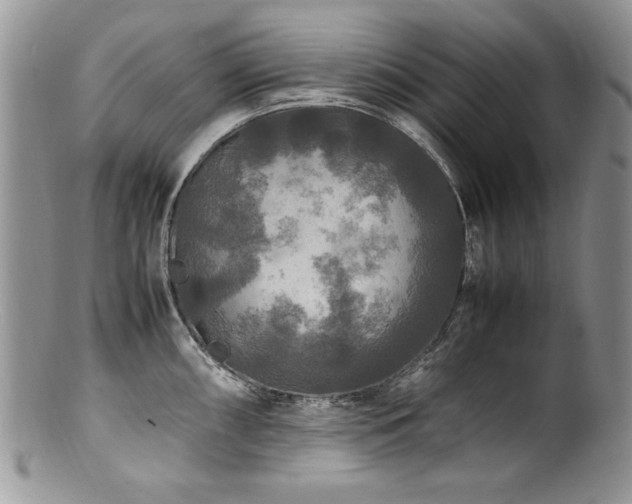 X0000100851098200806201208
