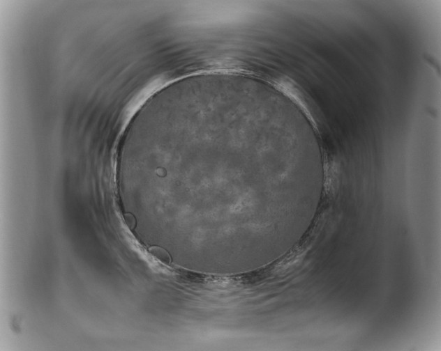 X0000100851099200806201208