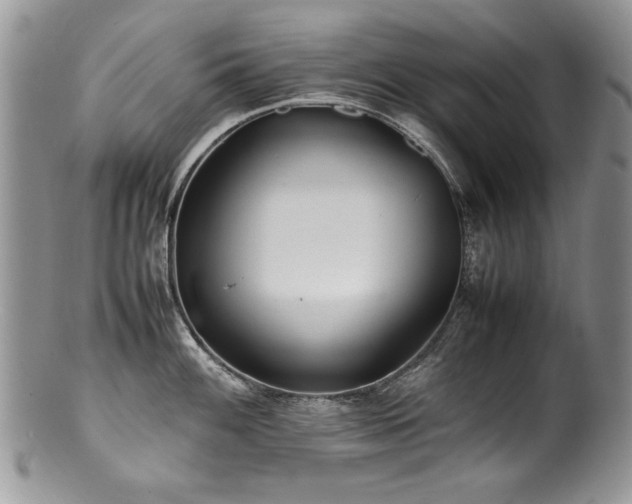X0000100851100200806201208
