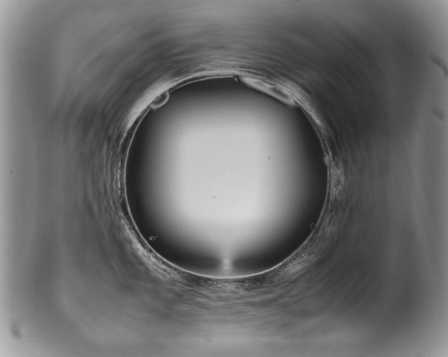 X0000100851101200806201208