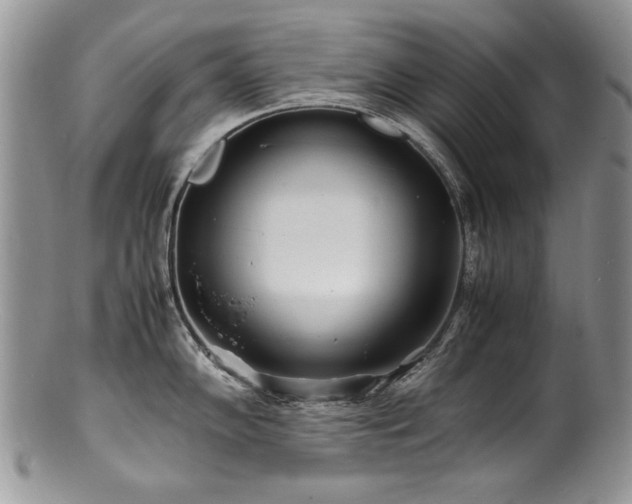 X0000100851102200806201208