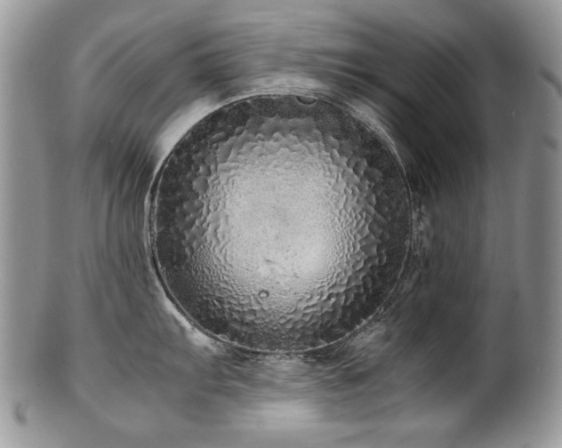 X0000100851103200806201208