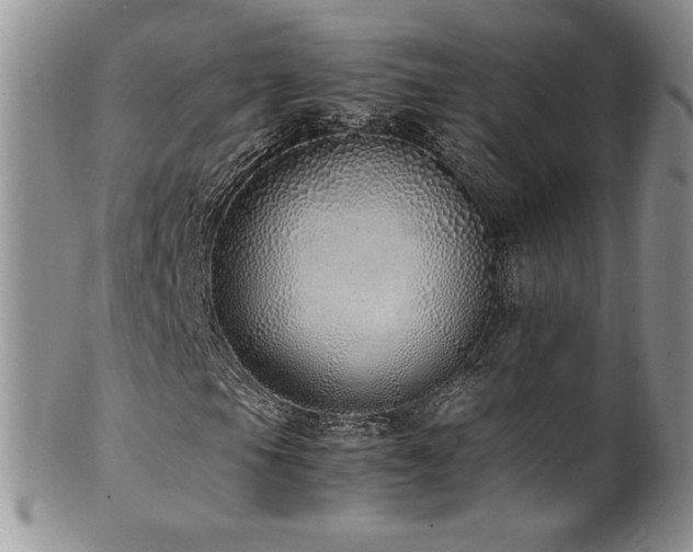 X0000100851105200806201207