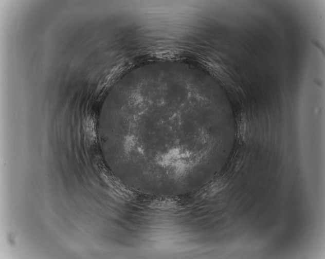 X0000100851106200806201207