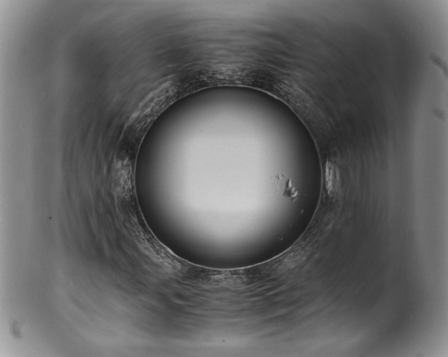X0000100851107200806201207