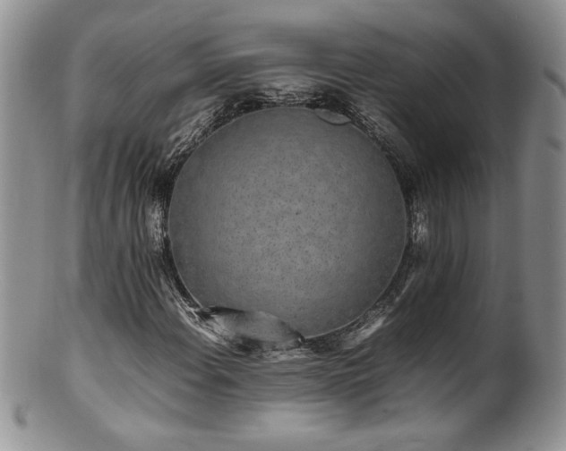 X0000100851108200806201207