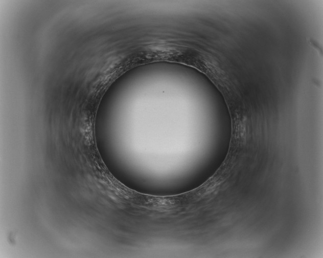 X0000100851109200806201207