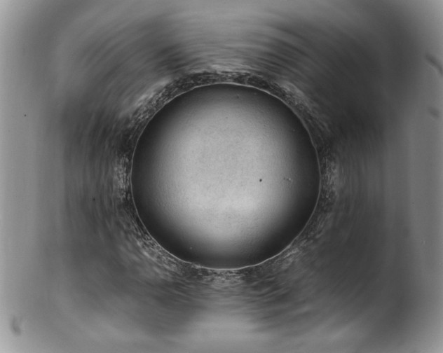 X0000100851110200806201207