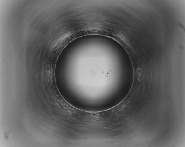 X0000100851111200806201207