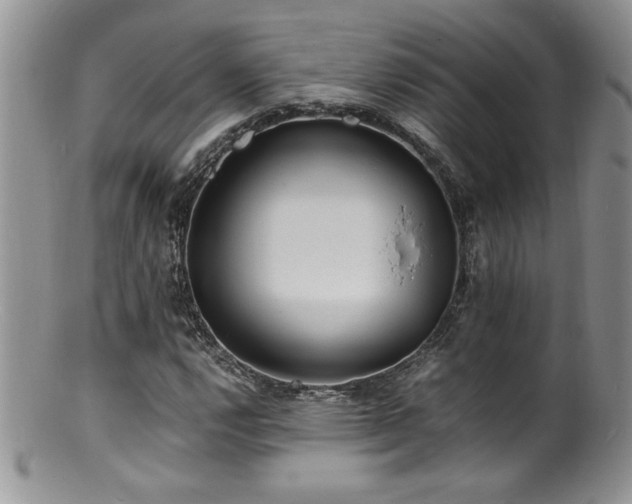 X0000100851112200806201207