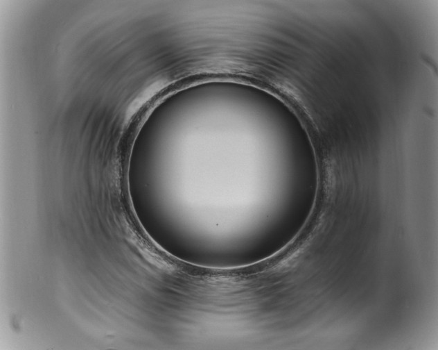 X0000100851114200806201207