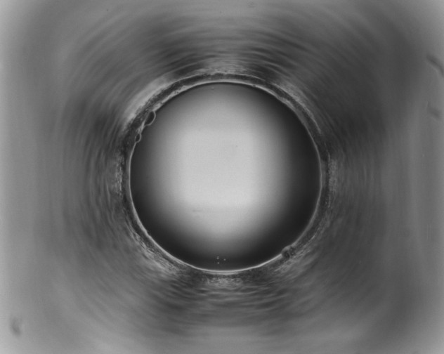 X0000100851115200806201207