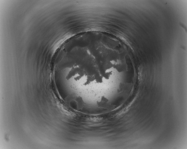 X0000100851117200806201207