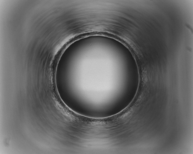 X0000100851118200806201207