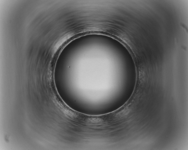 X0000100851119200806201207