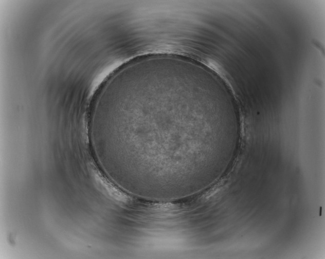X0000100851120200806201207
