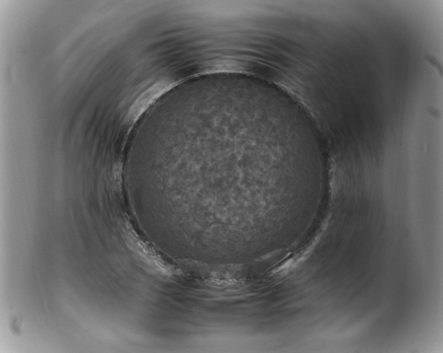 X0000100851121200806201207