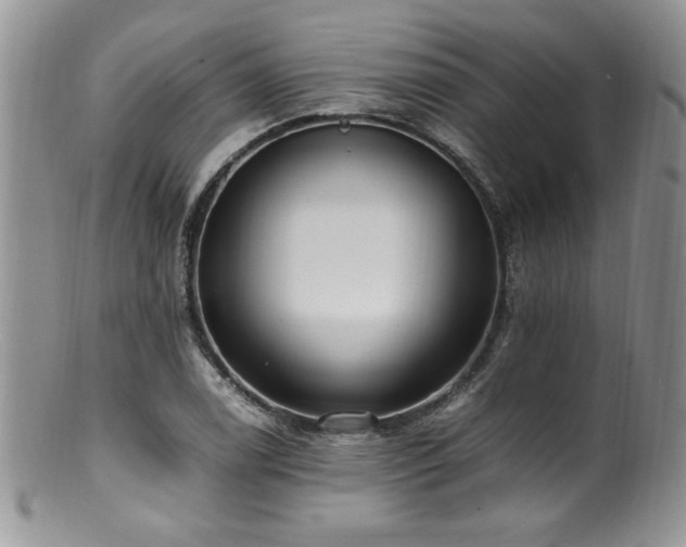 X0000100851122200806201207