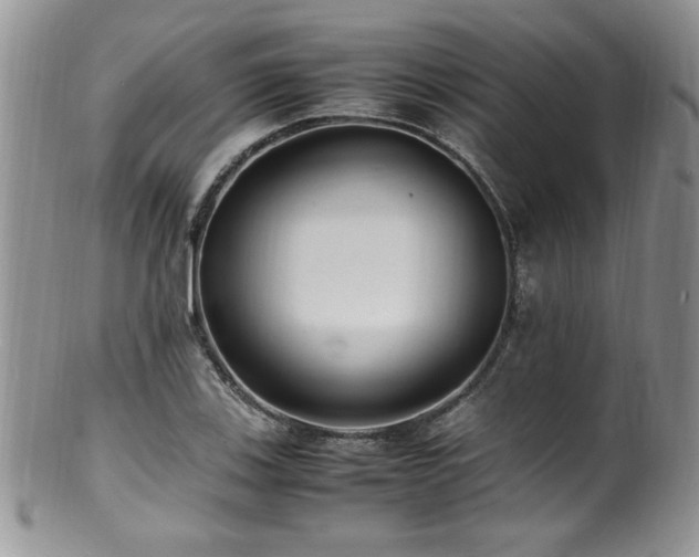 X0000100851123200806201208