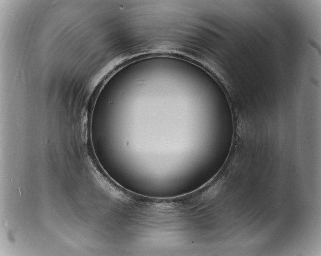 X0000100851126200806201208