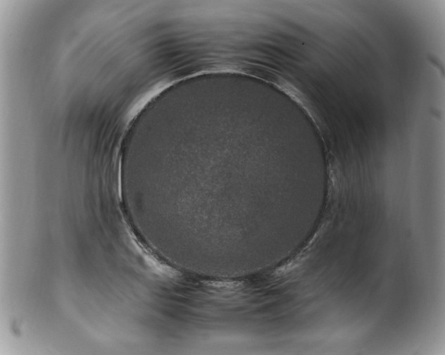 X0000100851127200806201208