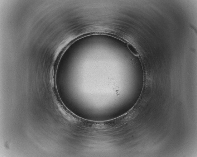 X0000100851128200806201208