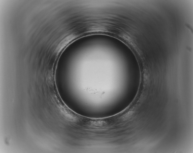 X0000100851129200806201208