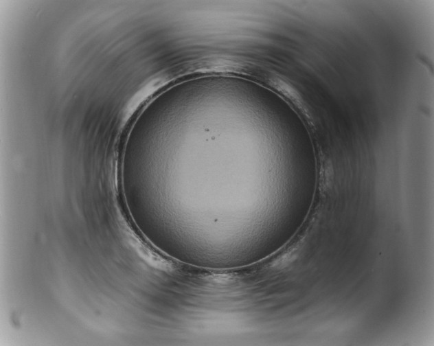 X0000100851130200806201208