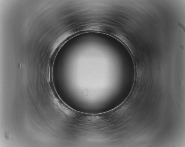 X0000100851131200806201208