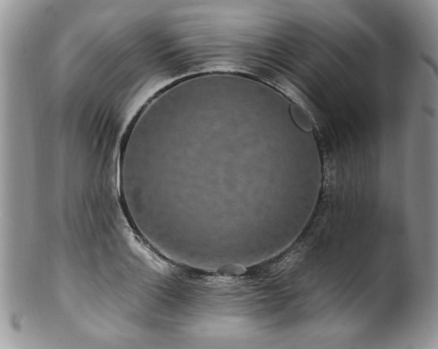 X0000100851132200806201208