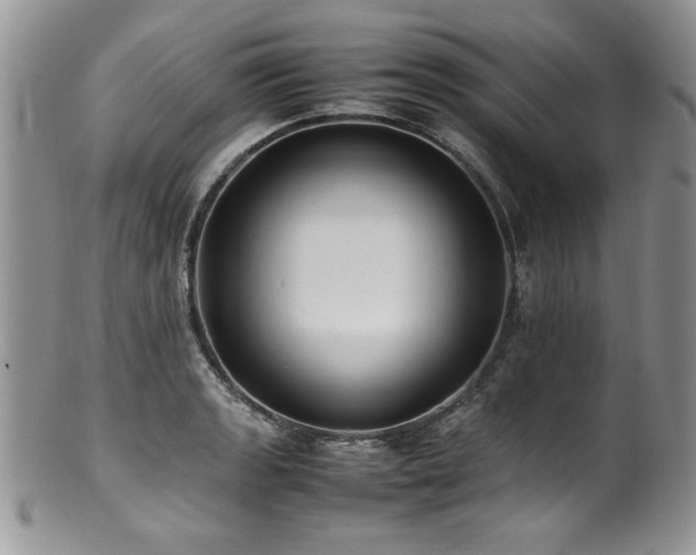X0000100851133200806201208
