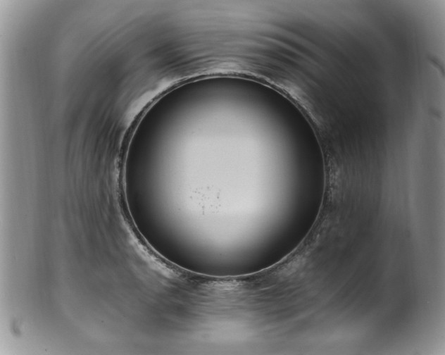 X0000100851134200806201208
