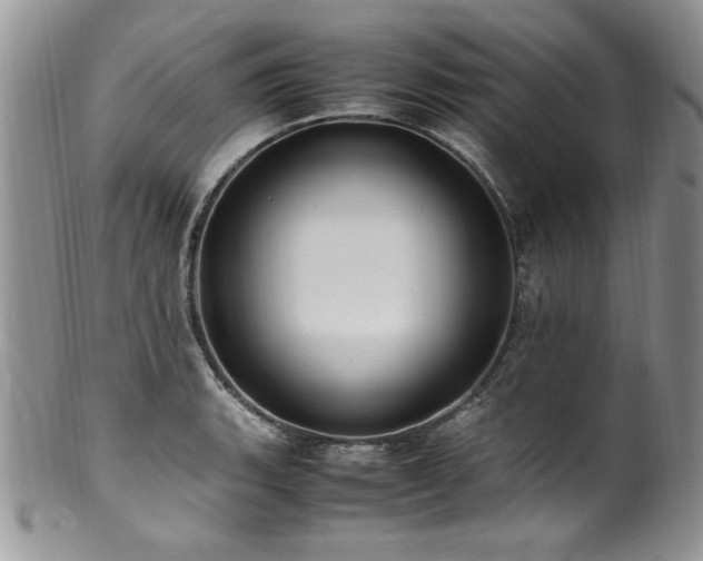 X0000100851135200806201208