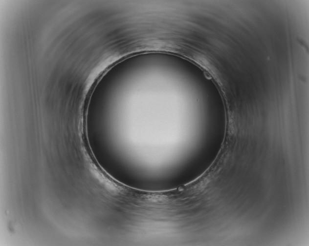 X0000100851136200806201208