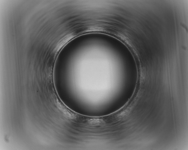 X0000100851137200806201208