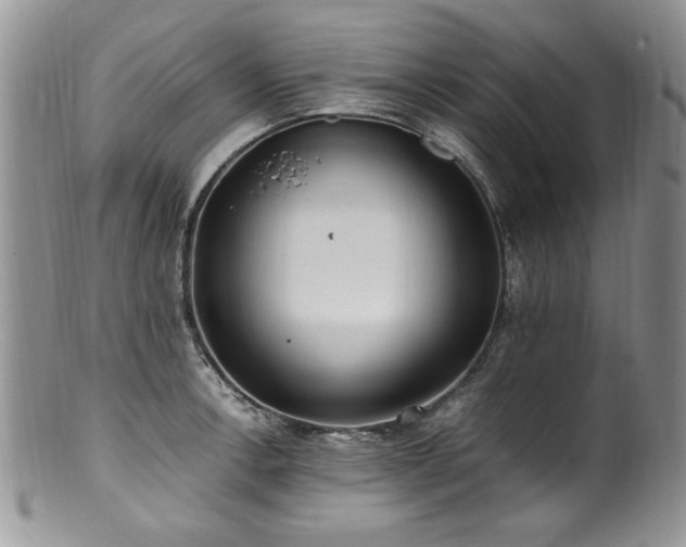 X0000100851138200806201208