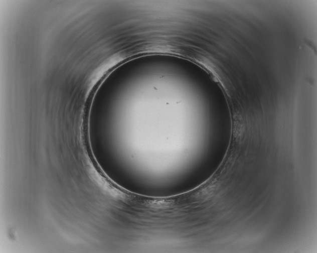 X0000100851139200806201208