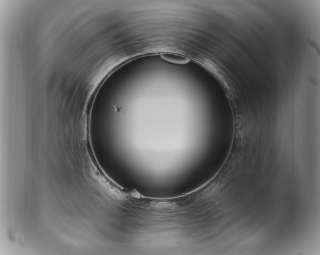 X0000100851140200806201208