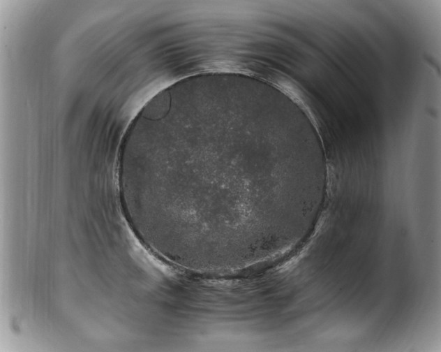 X0000100851141200806201208