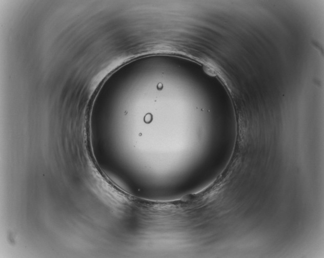 X0000100851142200806201208