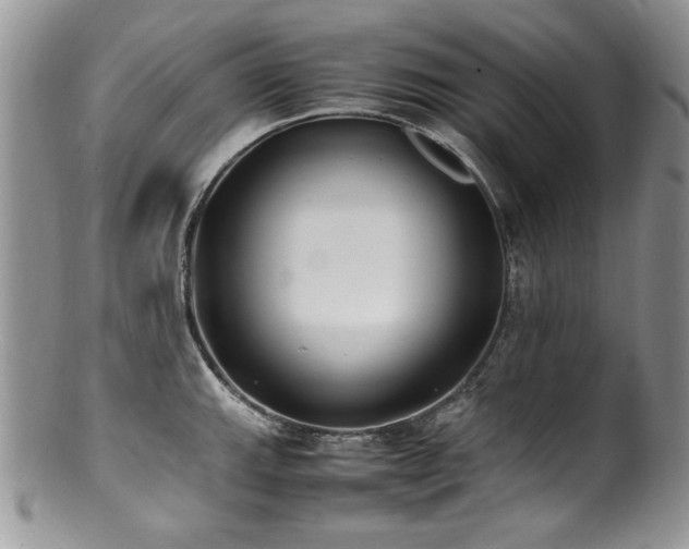 X0000100851143200806201208